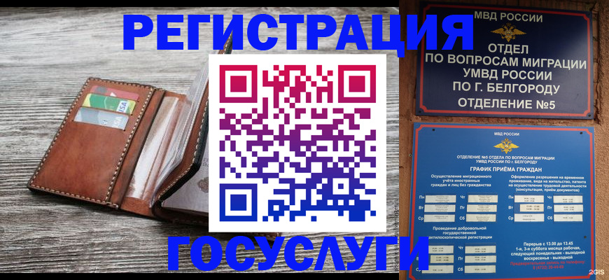 временная регистрация гарантия в Благовещенске